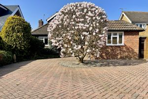 Photo 28- click for photo gallery